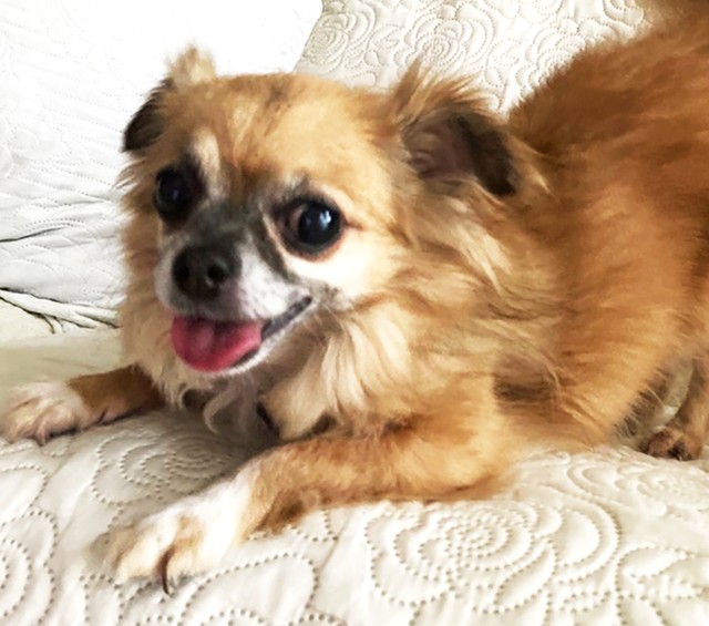 本体のリシャちゃんは明るく元気な性格でした