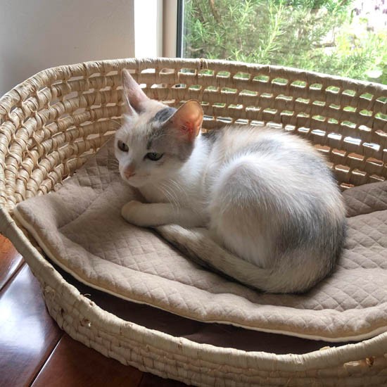 「健康で長生きして欲しい」ととわさん（とわさん提供）