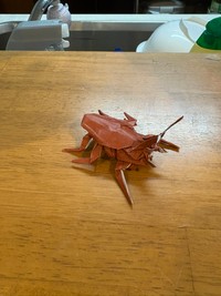 趣味は折り紙（Mi7zukiさん提供）