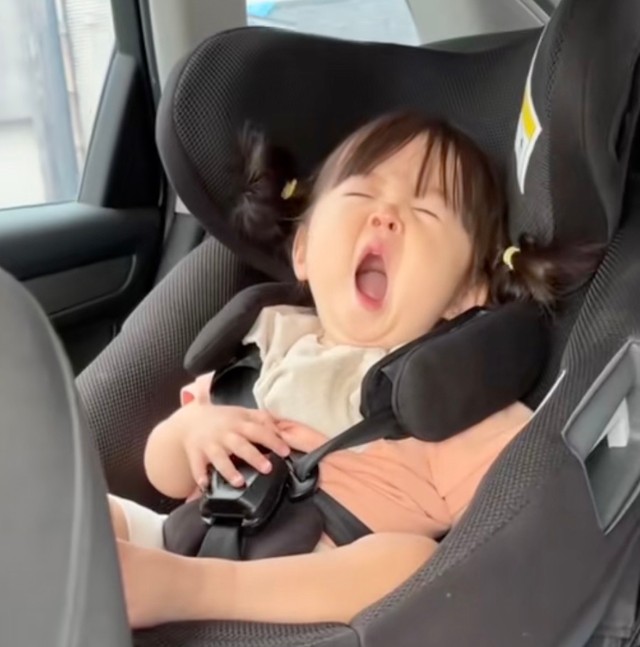 眠たくなったさらちゃんの驚きのルーティンが話題（提供：@sarapapaaaaさん）
