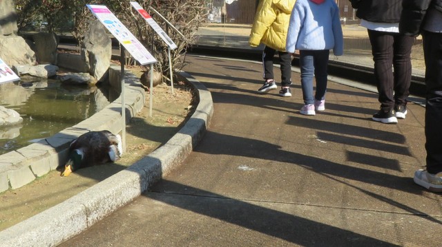 そばを通る通行人