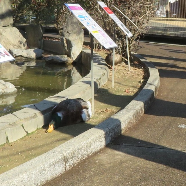 そばを通る通行人