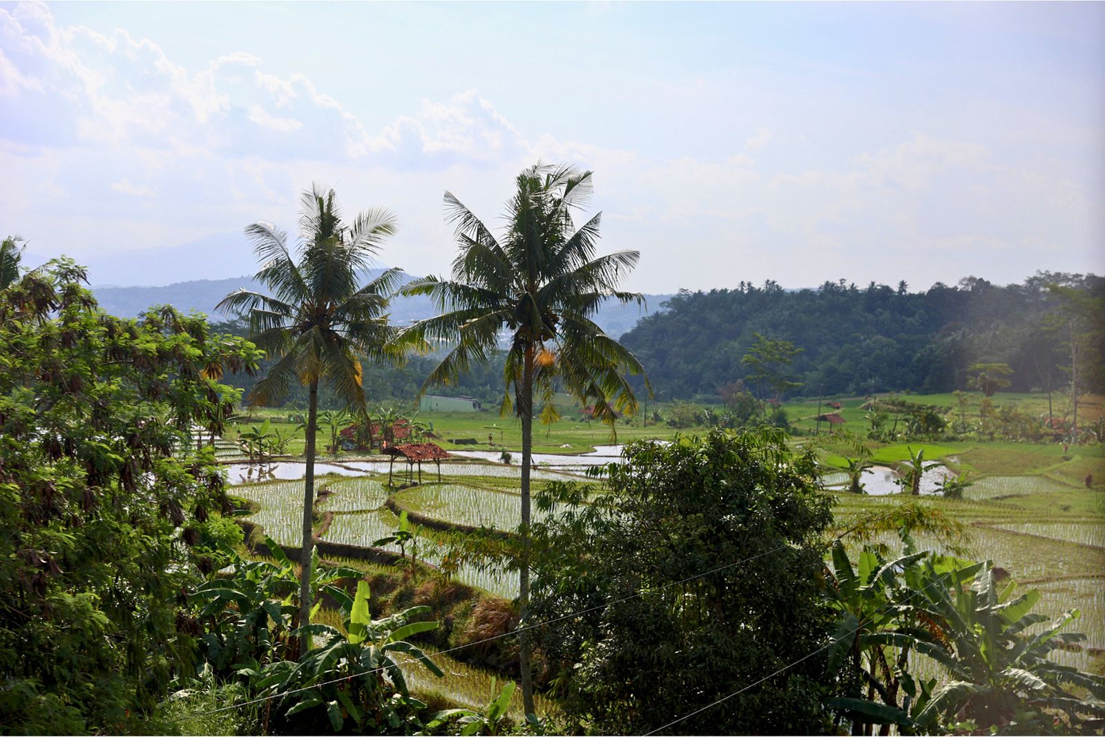 インドネシア前編_03