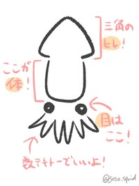 イカを上手く描くコツ（提供：いかいかよしかさん）