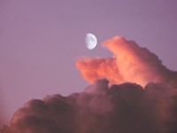 自分の心身を守るための休職は、時に心を粉々に打ち砕くものと知った