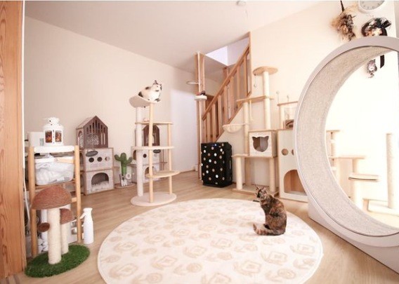 ぬくもり溢れる猫グッズの数々…巨大なキャットホイールも