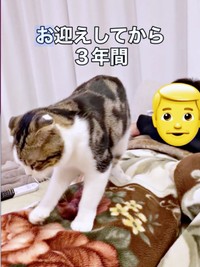 パパのお腹の上でふみふみするこたろうくん（画像提供：こたとつーちゃんと時々おたまさん）