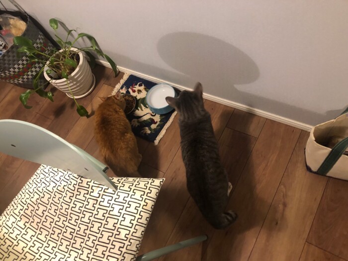 時々レディファースト（山下さん提供）