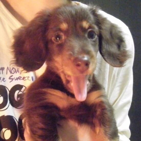 家にきたころの「EIN(アイン)」