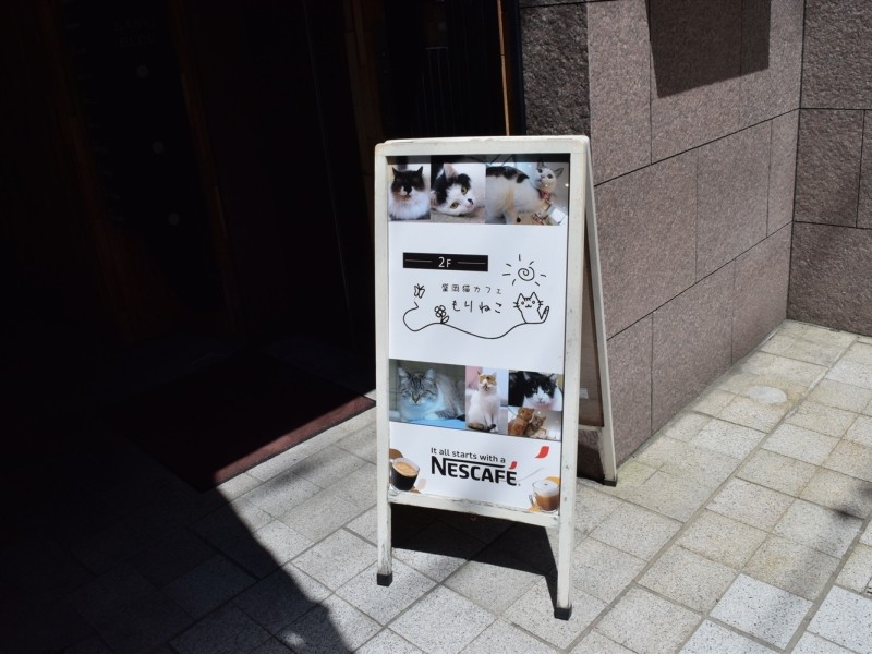 「保護ねこカフェもりねこ」への看板