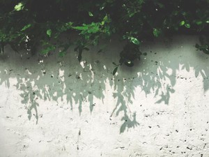 「家族の絆」「子供が可哀想」そんな理由で我々は困らねばならないのか