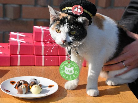 猫駅長「たま」「ニタマ」のチョコ、「よんたま」がＰＲ