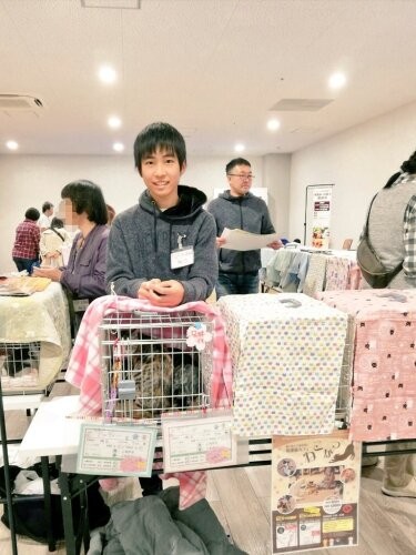 ボランティアとして譲渡会に参加します（黒尾さん提供）