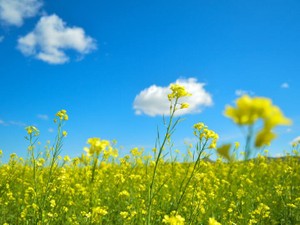 「いつでも相談してや」と常に私の味方だった大好きなおじいちゃんへ