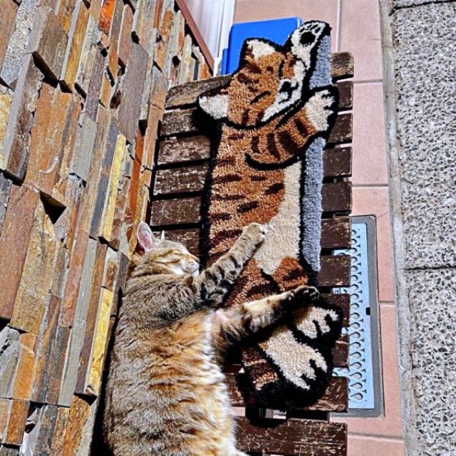 すやすや眠るにゃにゃこちゃん（画像提供：福直フルーツ 尾道の果物屋さん）