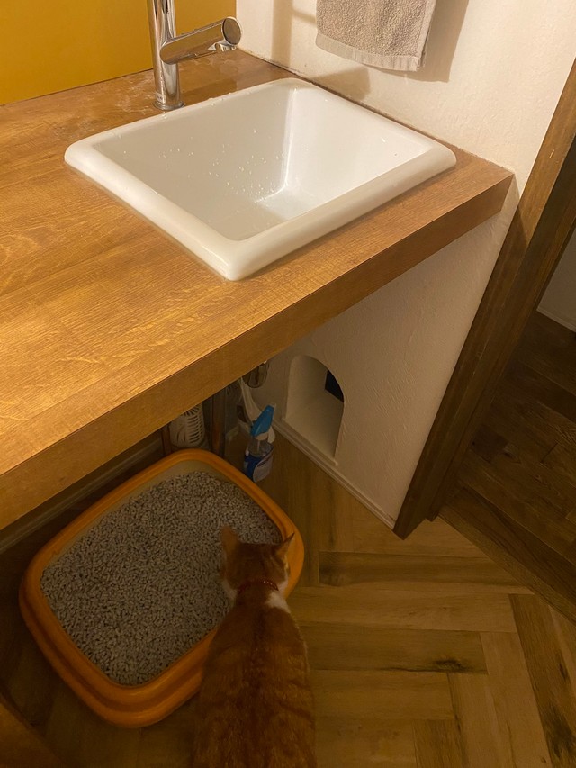 すぐ下にトイレを置くことに（ムッシュさん提供）