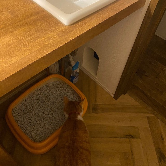 すぐ下にトイレを置くことに（ムッシュさん提供）