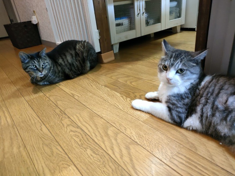 だいたいこの距離感をキープ。この距離がお互いに居心地よいみたい（信之さん提供）