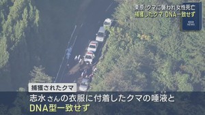 宮城・栗原市の山中でクマに襲われ女性死亡　付着したクマの唾液は捕獲個体とＤＮＡ型が一致せず