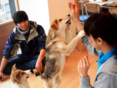 犬の殺処分ゼロめざし　ＰＷＪ、東京・世田谷にも譲渡拠点