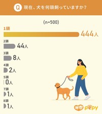 現在犬を何頭飼っていますか？（提供画像）