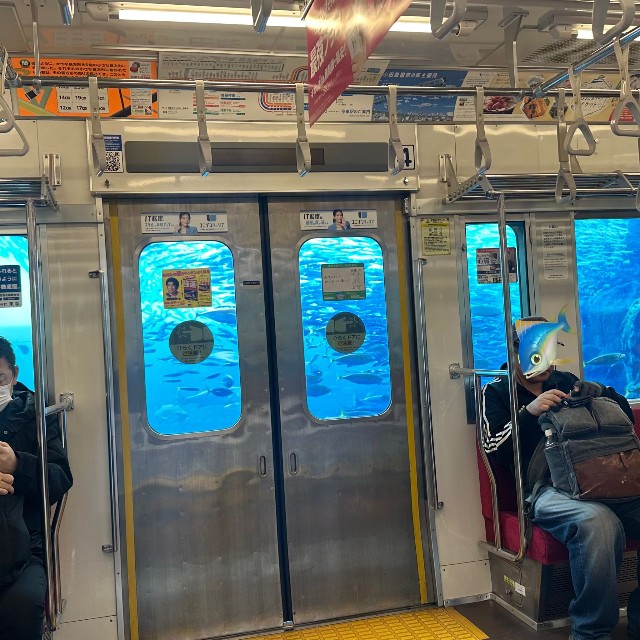 まるで海中を走るかのよう？（投稿者提供）