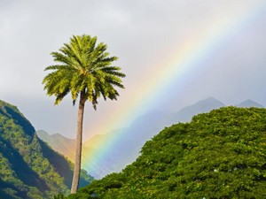 つらいときは泣いてしまえばいい！涙は悪って誰が決めたの？