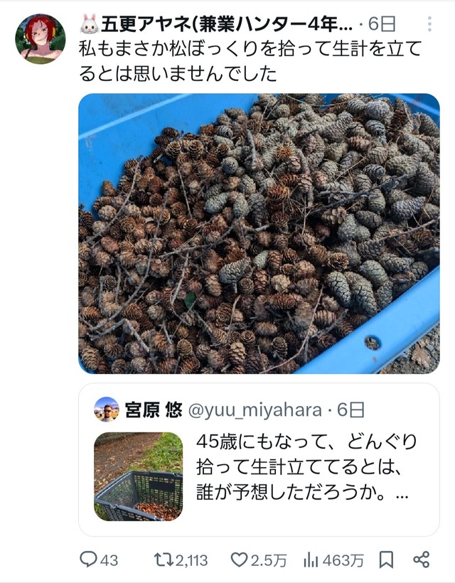 五更アヤネさんの引用投稿