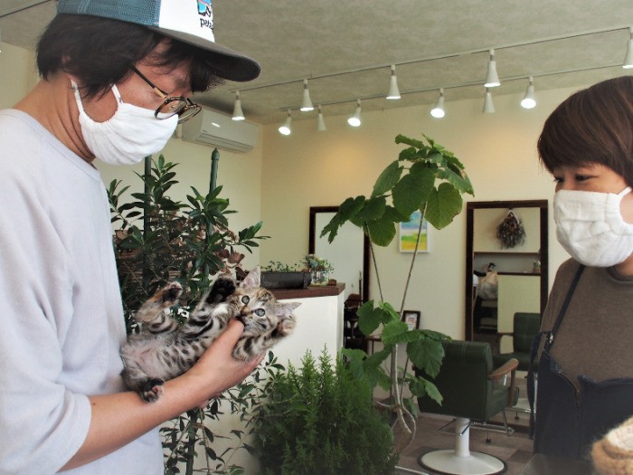 被っていたおとなしい「猫」をそろりそろり脱ぎ始める