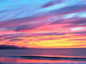 貴方が残した最後の作品だから。5年たった今も、私の背中はあの日のままだ