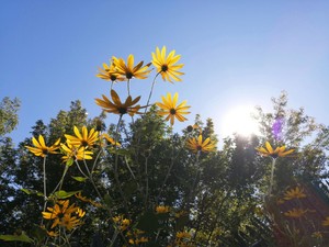 髪を伸ばし始めた。世間の目から少し自由になれた気がした