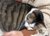 幸せなひととき＝napo_napo_さん提供