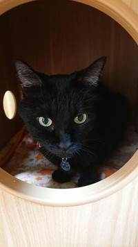 まだまだ目力があって元気なジジくん