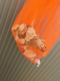 これぞまさに"大気圏突入"（正晃さん提供）