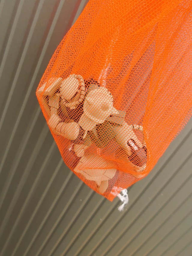 これぞまさに"大気圏突入"（正晃さん提供）