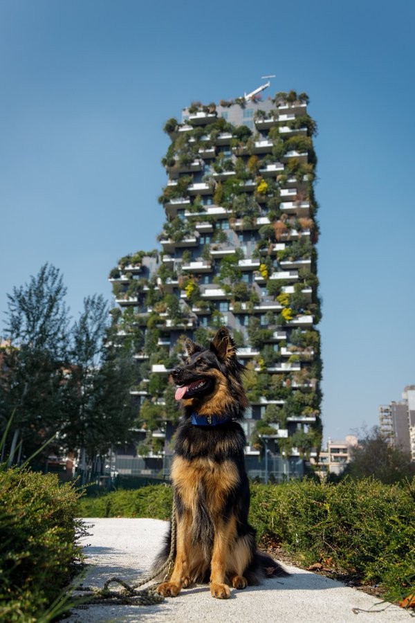 「ボスコ・ヴェルティカーレ」を背景に記念写真を撮るReyちゃん（画像提供：Miniさん）