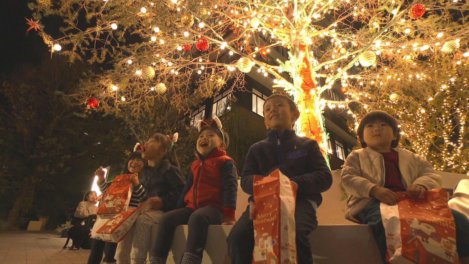 岡山市でクリスマスのイルミネーション4万7000個点灯 | KSBニュース