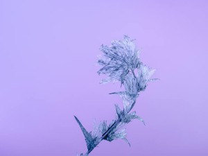 咄嗟に「絶対無理」と言ったワンピースを買った日、私は変われた