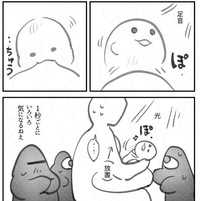 周りが気になって授乳に集中しない赤ちゃん（あたらしいいきものさん提供）