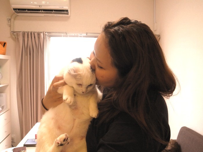 愛され過ぎているにゃ