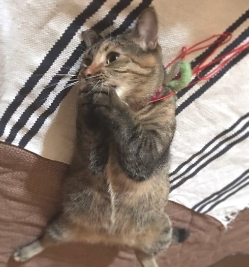 あったかくて眠くなっちゃった