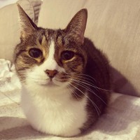 男の子だが、優しい表情のまにくん