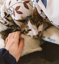 亡くなる前の日常