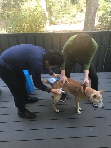 粗相をするとスタッフが慌てて外へ出す