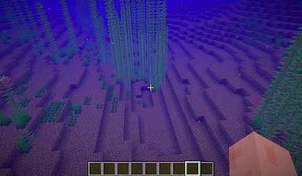 マリアナ海溝の最深部「チャレンジャー海淵」をマインクラフト内で再現している／海上保安庁　海洋情報部公式HPより