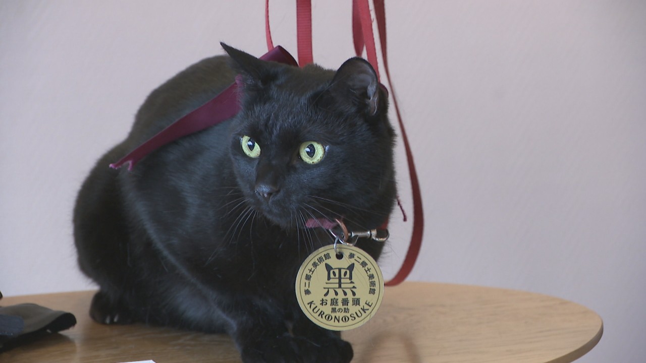 人気の黒猫がお庭番から出世 歴史学者の磯田道史さんが辞令書く 岡山市 夢二郷土美術館 Ksbニュース Ksb瀬戸内海放送