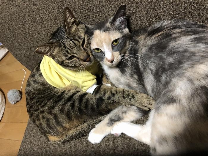 ランチくん（左）とは、まるで兄弟のよう