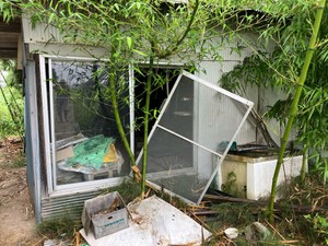 【速報】宮城・大崎市でクマ出没　住宅敷地内の倉庫荒らす　けが人無し