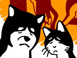 柴犬の尾追い、猫のかみつき…　その行動、「心の病」かも？