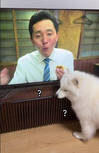 「そこからは出てこないよ！」（「こはく」さん提供、Instagramよりキャプチャ撮影）